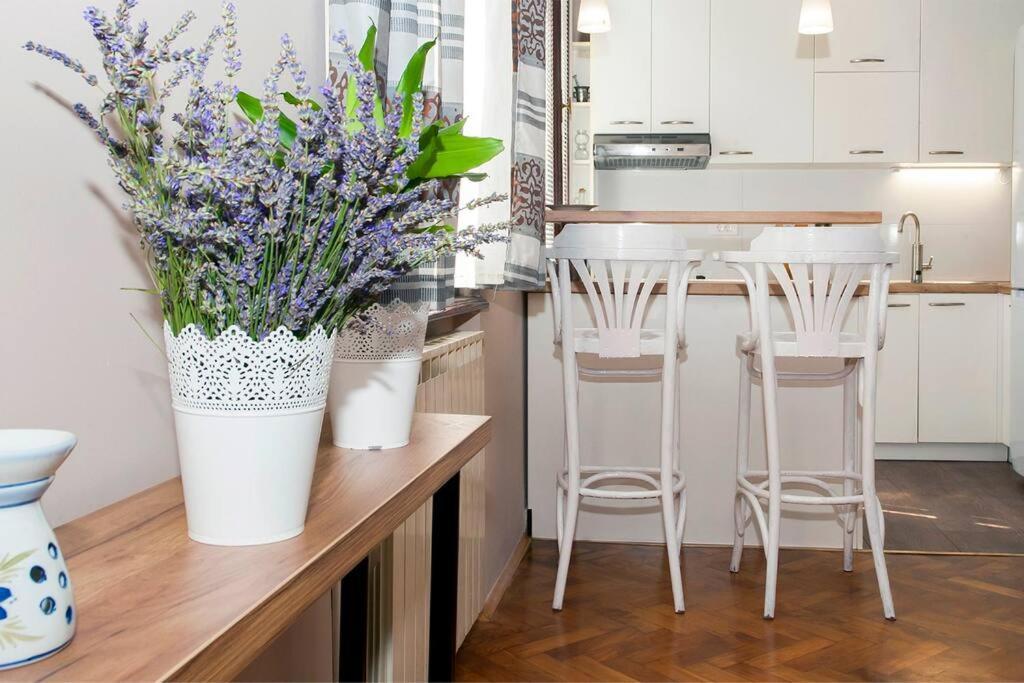 Apartment Pataky Zagreb Ngoại thất bức ảnh